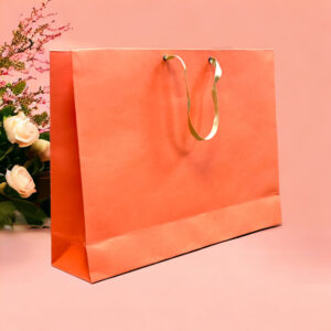 PLAIN ORANGE - GIFT BAG