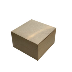 BROWN (WHITE)-1/2 KG CAKE BOX WITHOUT WINDOW